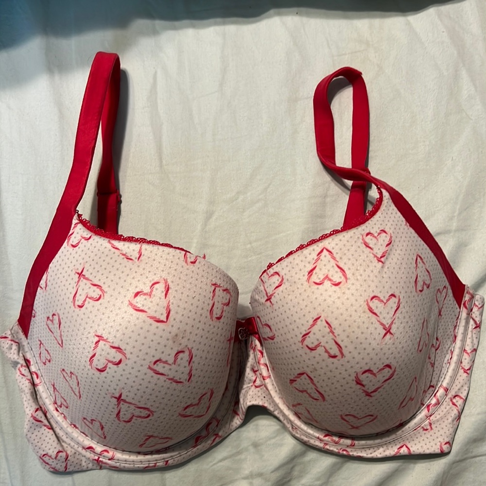 cute vs 34DDD bra
